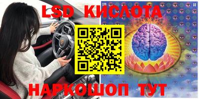 ГАЛЛЮЦИНОГЕННЫЕ ГРИБЫ Пенза