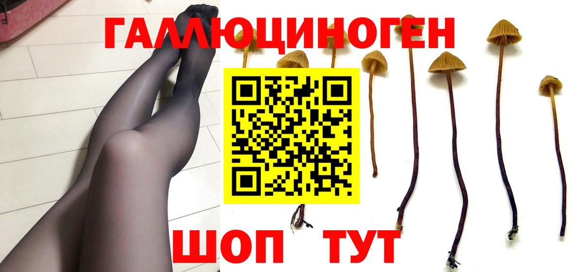 Галлюциногенные грибы Magic Shrooms  Галлюциногенные грибы Psilocybe  Туапсе  Вход с VPN 