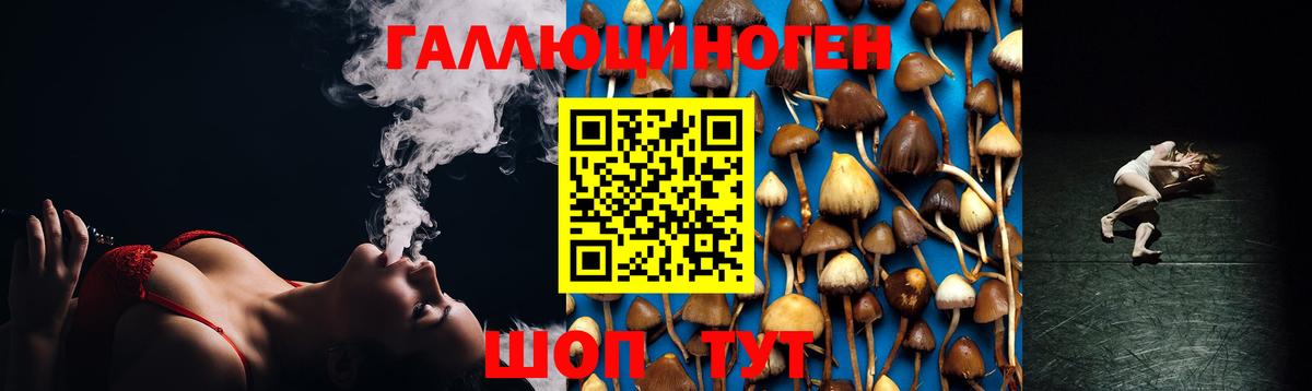 Псилоцибиновые грибы ЛСД Туапсе